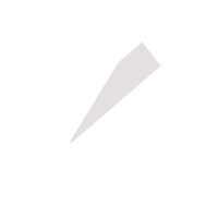 海口临时保镖服务